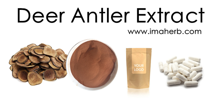 Deer Velvet Antler Deer Antler Extract Powder 51 101 201 7855