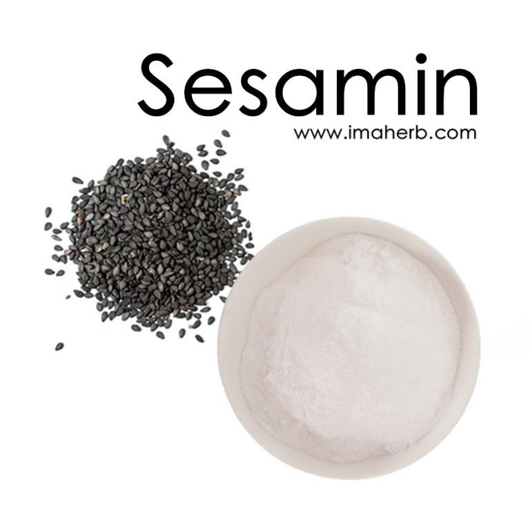 Sesamin, Black Sesame Seed Extract, Sesamum Indicum Extract Powder