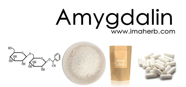 Amygdalin, Vitamin B17, Apricot Seed Extract, Bitter Almond Extract