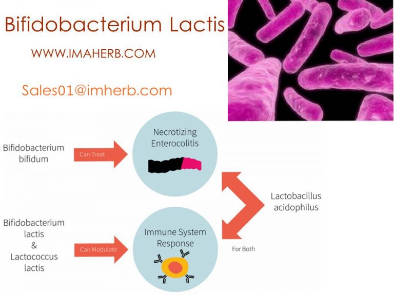 Beneficios Bifidobacterium Lactis