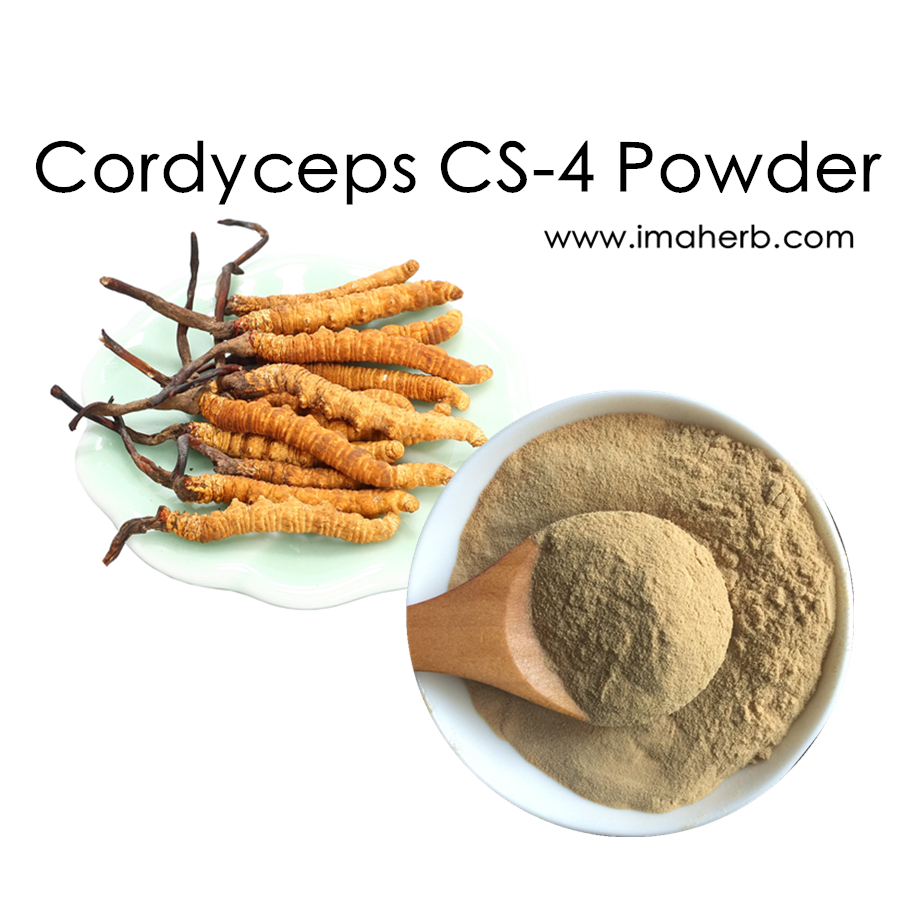 Organic Cordyceps Sinensis (CS-4) Extract Powder