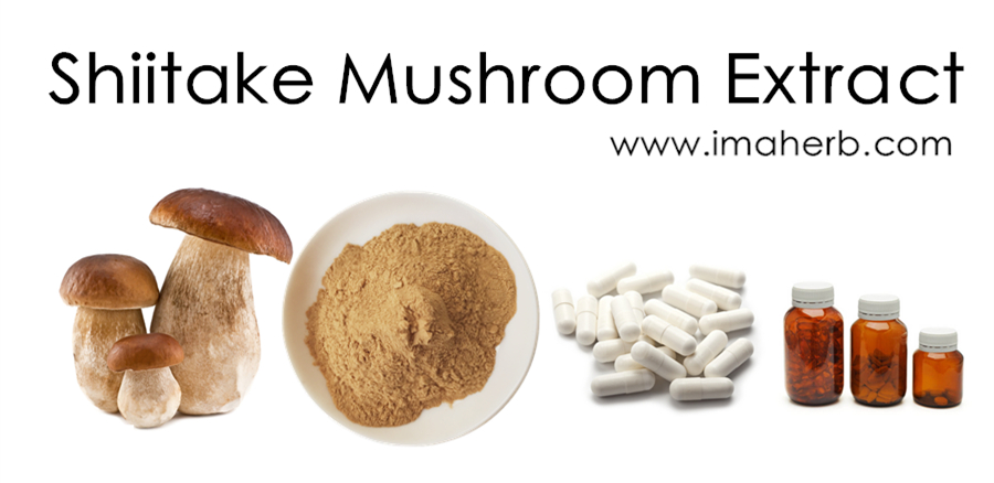 Organic Shiitake Mushroom extract AHCC 30% 50% Polysaccharides and 20% 80% Glucan Powder capsule