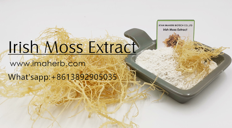 Sea moss что это. %E7%88%B1%E5%B0%94%E5%85%B0%E8%8B%94%E8%97%93. Sea moss что это фото. Sea moss что это-%E7%88%B1%E5%B0%94%E5%85%B0%E8%8B%94%E8%97%93. картинка Sea moss что это. картинка %E7%88%B1%E5%B0%94%E5%85%B0%E8%8B%94%E8%97%93