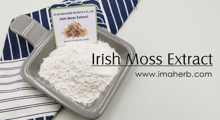 Sea moss что это. H94f20130f01042d991b7bcd8a6eac237g. Sea moss что это фото. Sea moss что это-H94f20130f01042d991b7bcd8a6eac237g. картинка Sea moss что это. картинка H94f20130f01042d991b7bcd8a6eac237g