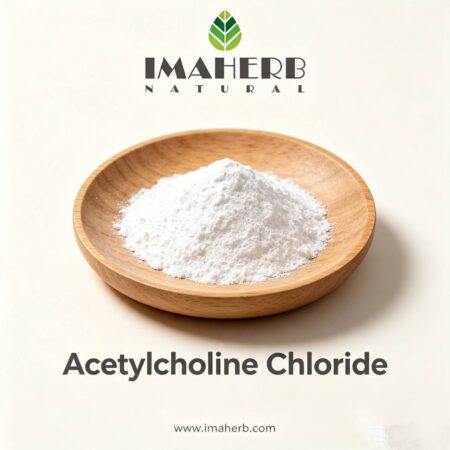 Acetylcholine Chloride
