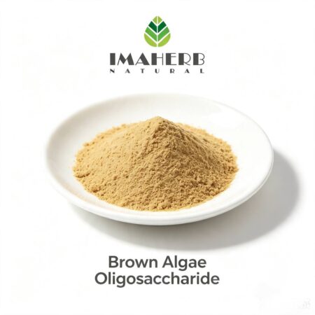 Alginate Oligosaccharide (AOS)
