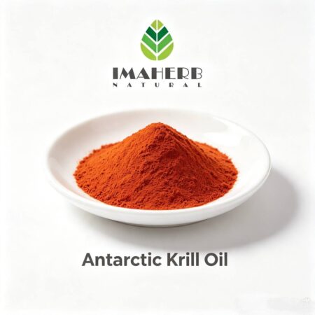 Antarctic Krill Oil