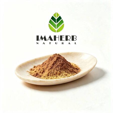 Ginkgo Biloba Extract 24/6 (5 ppm Ginkgolic Acid)