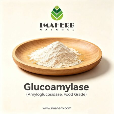Glucoamylase (Amyloglucosidase, Food Grade)