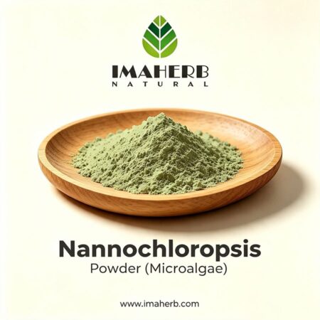 Nannochloropsis Powder (Microalgae)