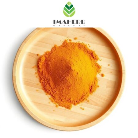 Curcumin Extract (Curcuma longa) 95% Curcumin