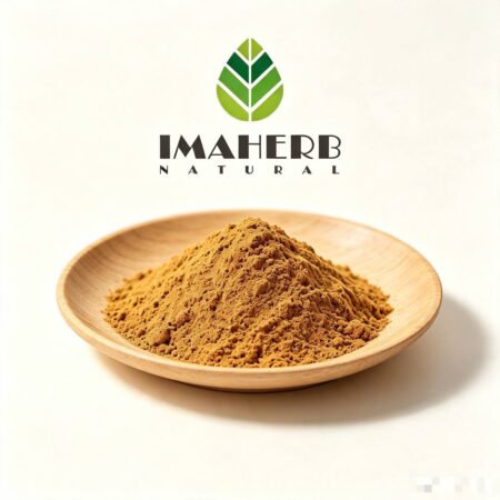 King Oyster Mushroom Extract (Pleurotus eryngii)
