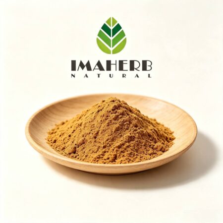 Sanghuang (Phellinus) Mushroom Extract (Phellinus linteus)