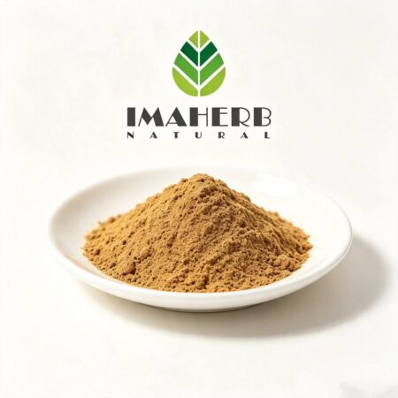 Shaggy Mane Mushroom Extract (Coprinus comatus)