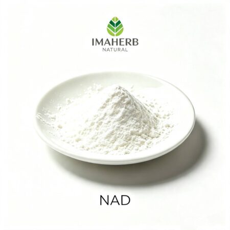 NAD+ (Nicotinamide Adenine Dinucleotide, Oxidized) | CAS 53-84-9
