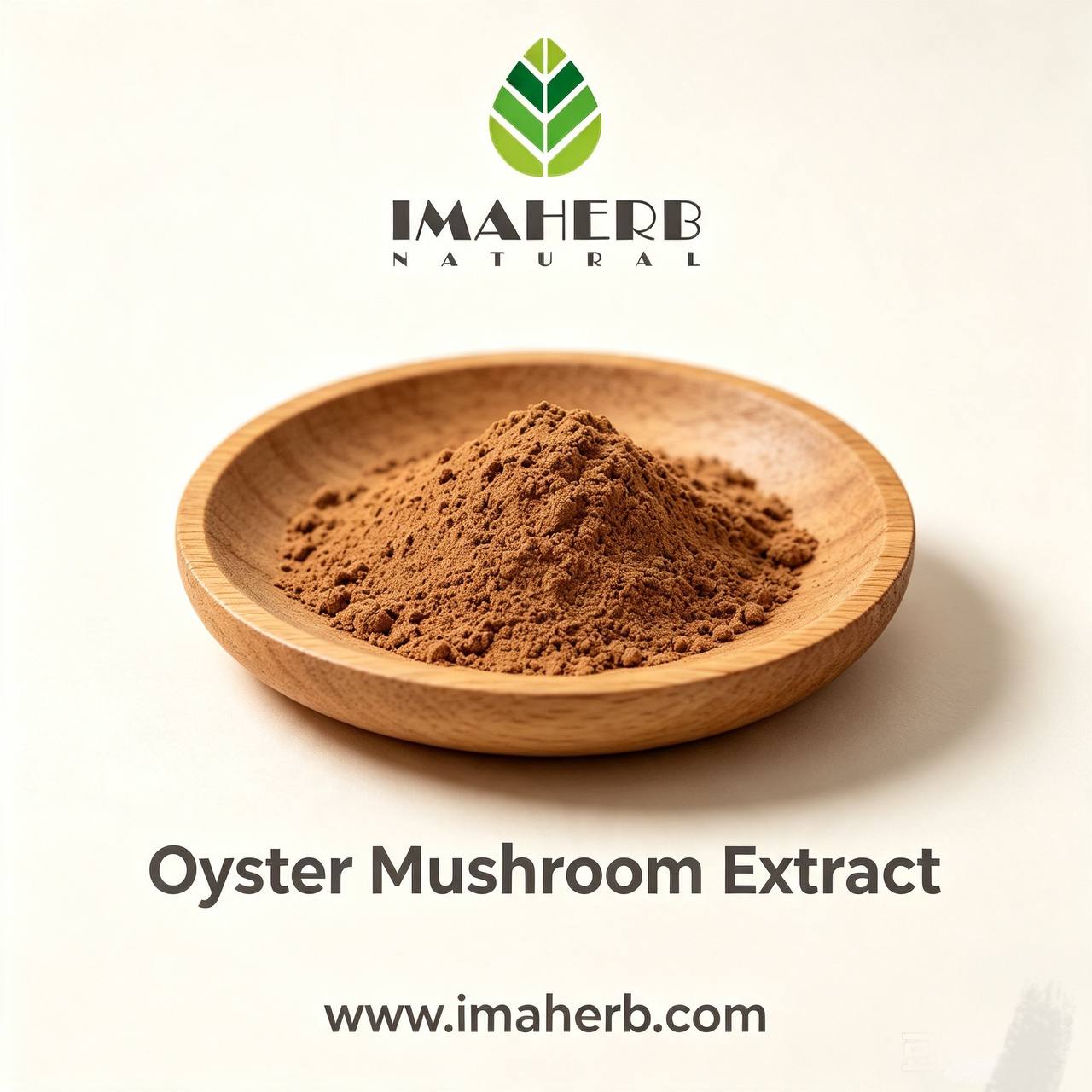 Oyster Mushroom Extract (Pleurotus ostreatus)