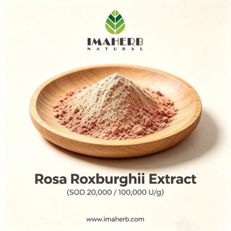 Rosa Roxburghii Extract (SOD 20,000 / 100,000 U/g)