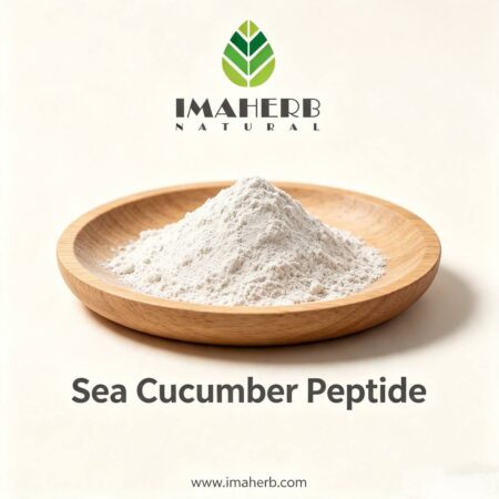 Sea Cucumber Peptide
