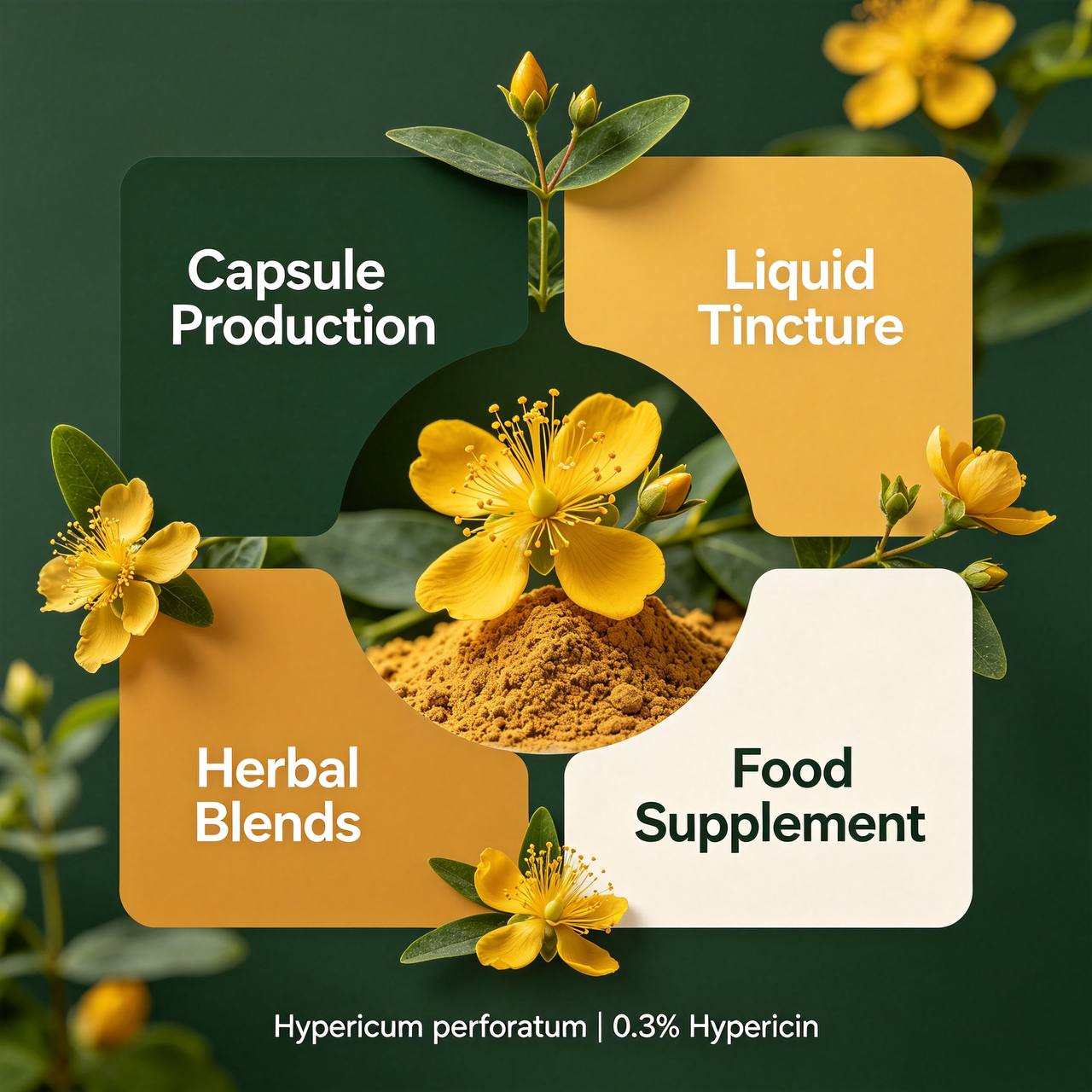St-John's Wort Extract (Hypericum perforatum) 0.3% Hypericin - Image 3