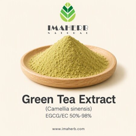 Green Tea Extract (Camellia sinensis) EGCG/EC 50%-98%