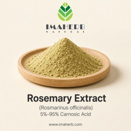 Rosemary Extract (Rosmarinus officinalis) 5%-95% Carnosic Acid