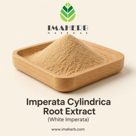 Imperata Cylindrica Root Extract (White Imperata)
