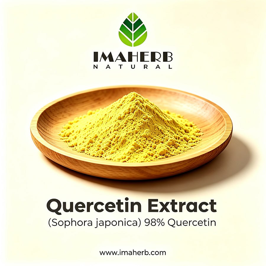 Quercetin Extract (Sophora japonica) 98% Quercetin