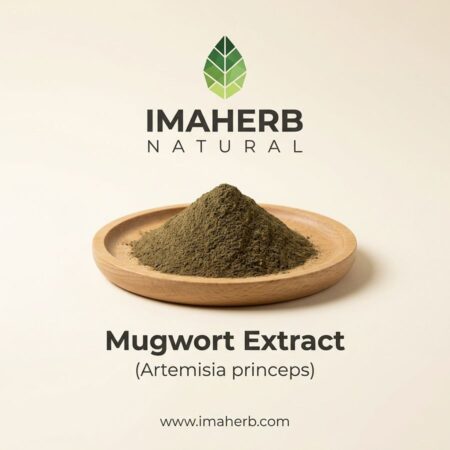 Mugwort Extract (Artemisia princeps)
