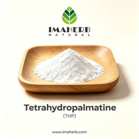 Tetrahydropalmatine (THP)