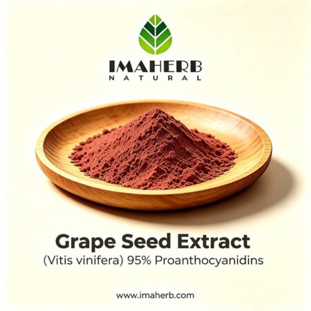 Grape Seed Extract (Vitis vinifera) 95% Proanthocyanidins