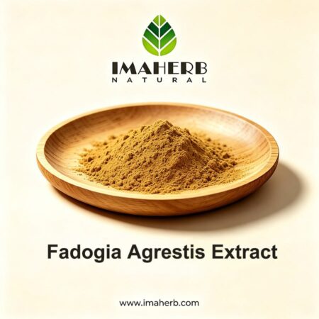 Fadogia Agrestis Extract