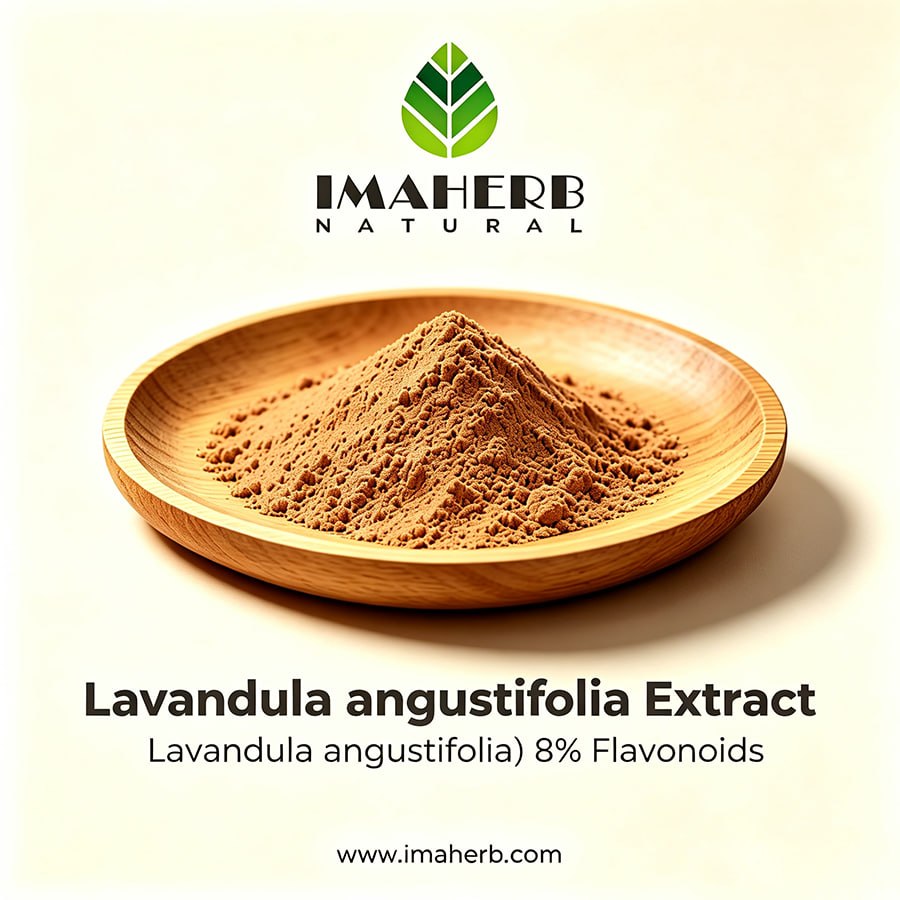 Lavandula angustifolia Extract (Lavandula angustifolia) 8% Flavonoids