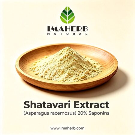 Shatavari Extract (Asparagus racemosus) 20% Saponins