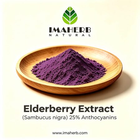 Elderberry Extract (Sambucus nigra) 25% Anthocyanins