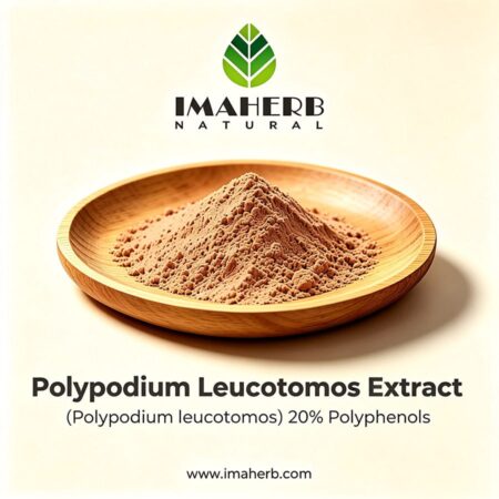 Polypodium Leucotomos Extract (Polypodium leucotomos) 20% Polyphenols