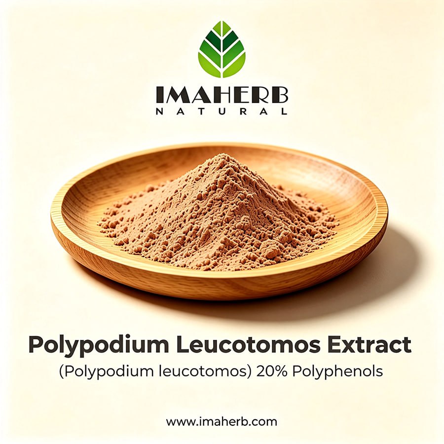 Polypodium Leucotomos Extract (Polypodium leucotomos) 20% Polyphenols