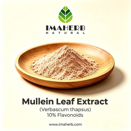 Mullein Leaf Extract (Verbascum thapsus) 10% Flavonoids