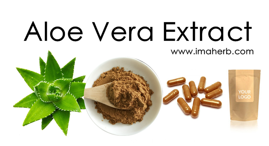 Aloe barbadensis leaf extract